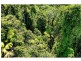 Lot 82 Cape Tribulation Road, Daintree QLD 4873