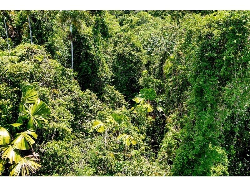 Lot 82 Cape Tribulation Road, Daintree QLD 4873