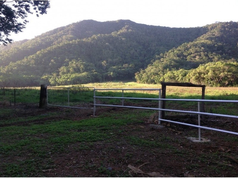 Lot 82 Cape Tribulation Road, Daintree QLD 4873