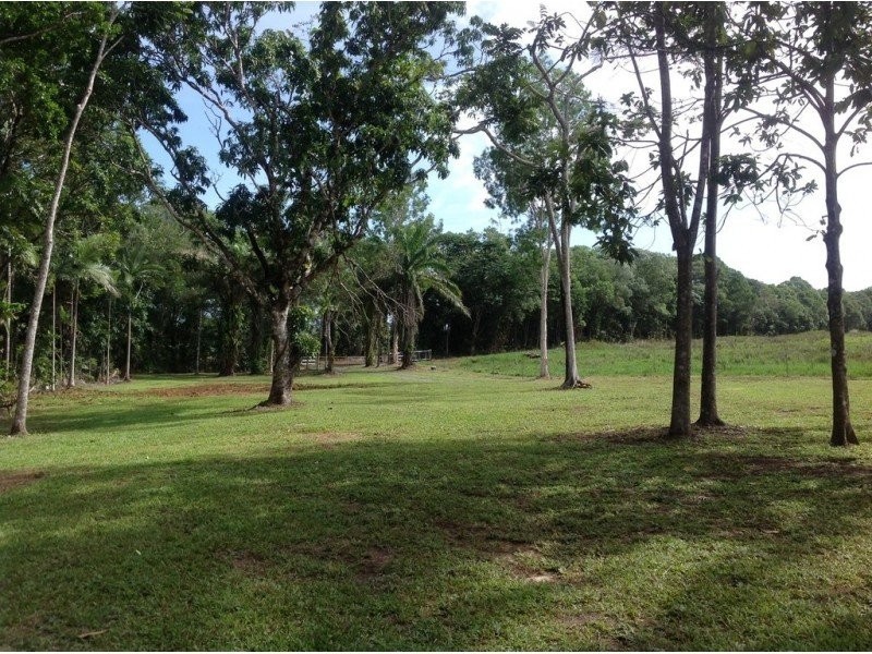 Lot 82 Cape Tribulation Road, Daintree QLD 4873