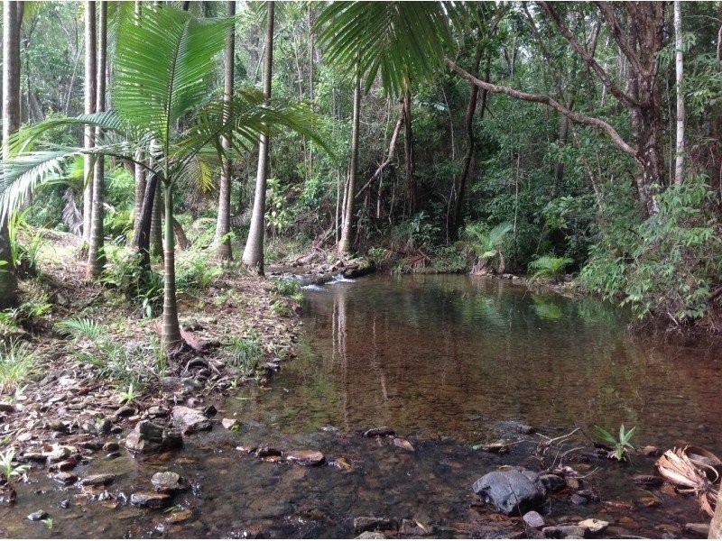 Lot 82 Cape Tribulation Road, Daintree QLD 4873
