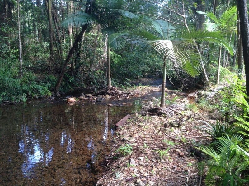 Lot 82 Cape Tribulation Road, Daintree QLD 4873