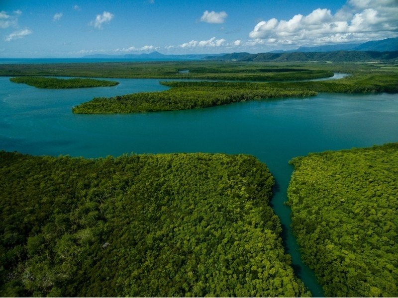 Lot 82 Cape Tribulation Road, Daintree QLD 4873