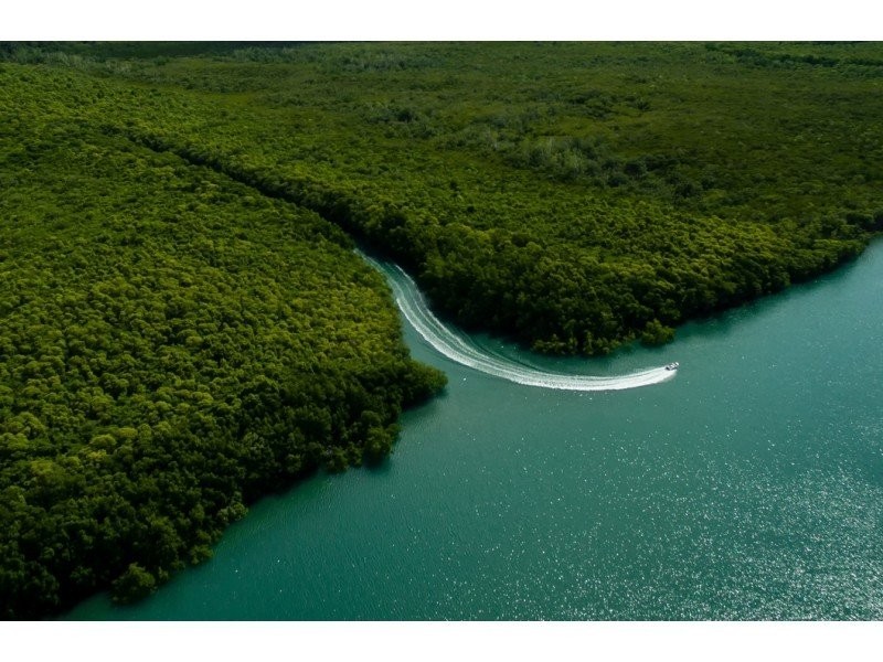 Lot 82 Cape Tribulation Road, Daintree QLD 4873