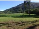 Lot 82 Cape Tribulation Road, Daintree QLD 4873