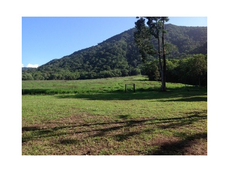 Lot 82 Cape Tribulation Road, Daintree QLD 4873