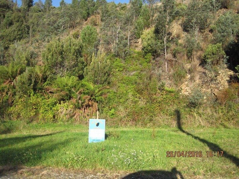 Lot 15 Tramway Street, Queenstown TAS 7467