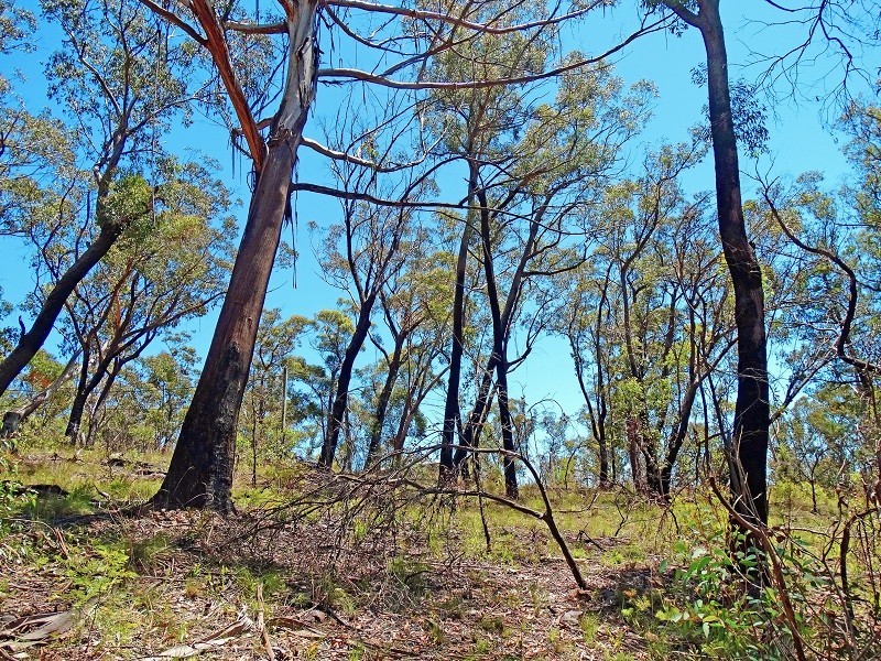 17 Chatsworth Road, Mount Victoria NSW 2786