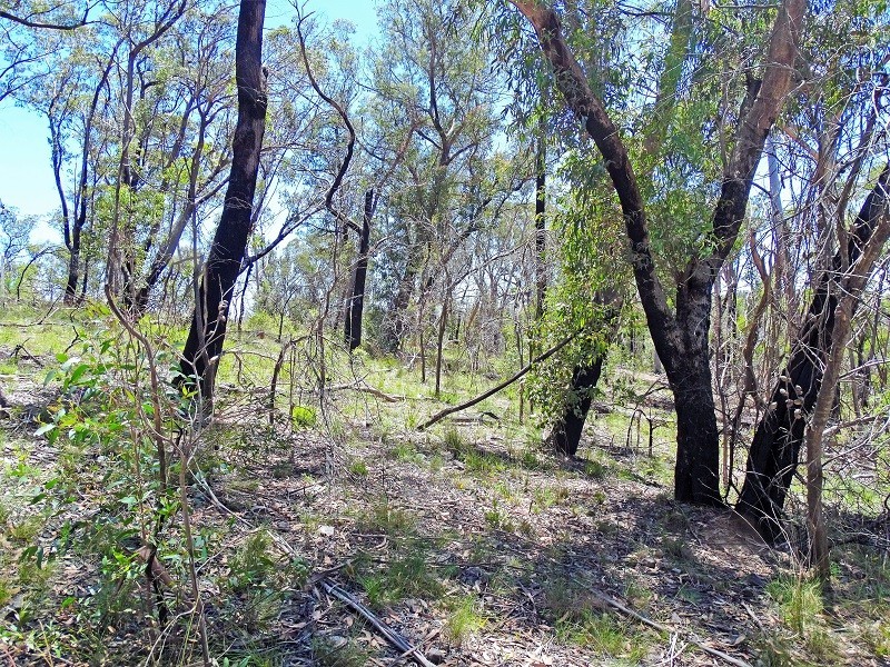 17 Chatsworth Road, Mount Victoria NSW 2786