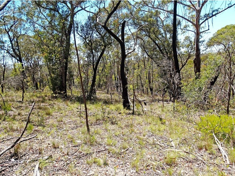 17 Chatsworth Road, Mount Victoria NSW 2786