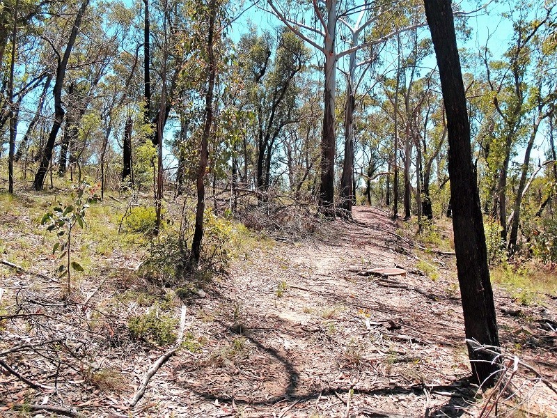 17 Chatsworth Road, Mount Victoria NSW 2786