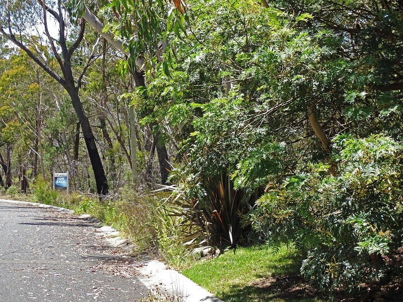 17 Chatsworth Road, Mount Victoria NSW 2786