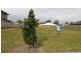 5 Island Court, Logan Village QLD 4207