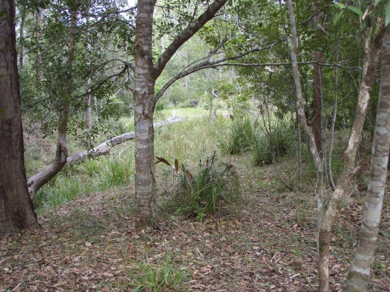 4 Coleman Road, Ravenshoe QLD 4888
