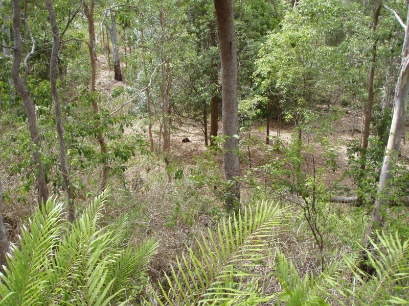 4 Coleman Road, Ravenshoe QLD 4888