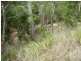 4 Coleman Road, Ravenshoe QLD 4888