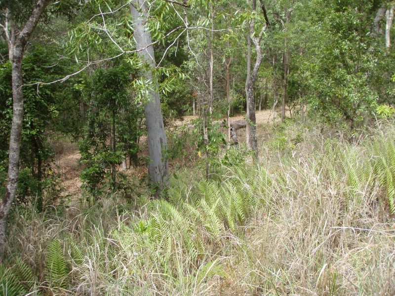 4 Coleman Road, Ravenshoe QLD 4888