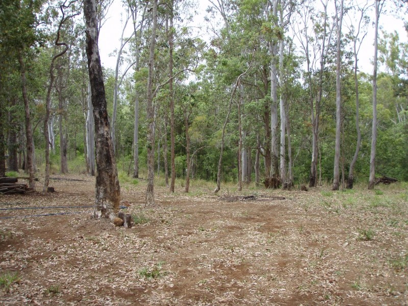 4 Coleman Road, Ravenshoe QLD 4888