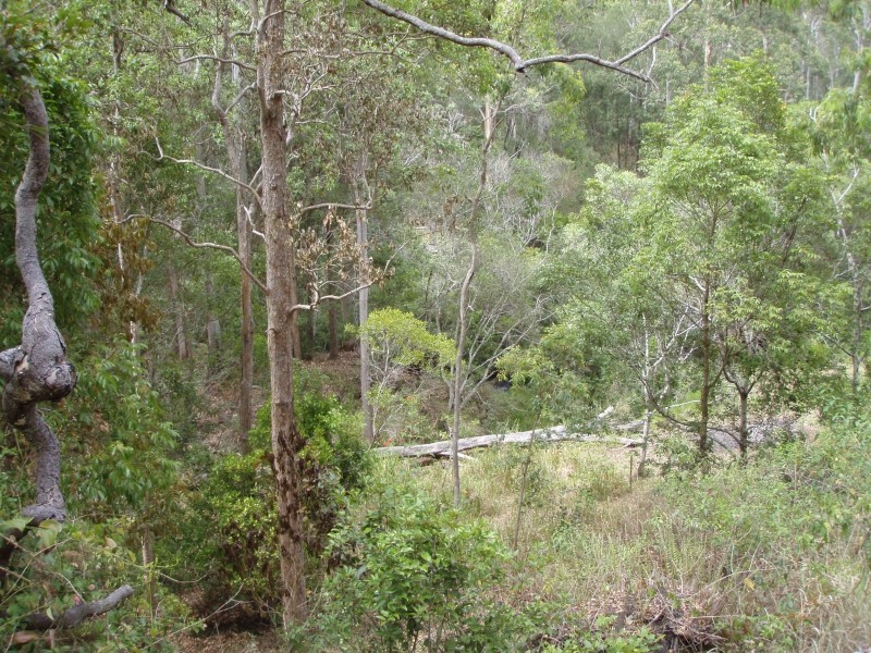 4 Coleman Road, Ravenshoe QLD 4888