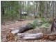 4 Coleman Road, Ravenshoe QLD 4888