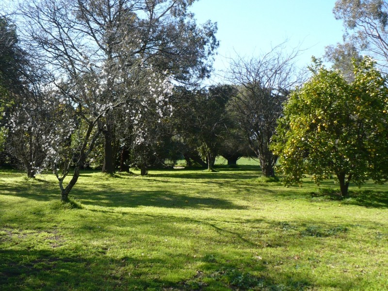 51 Ryan Road, Pakenham VIC 3810