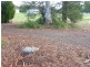 61 Forge Creek Road, Eagle Point VIC 3878