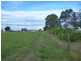 61 Forge Creek Road, Eagle Point VIC 3878