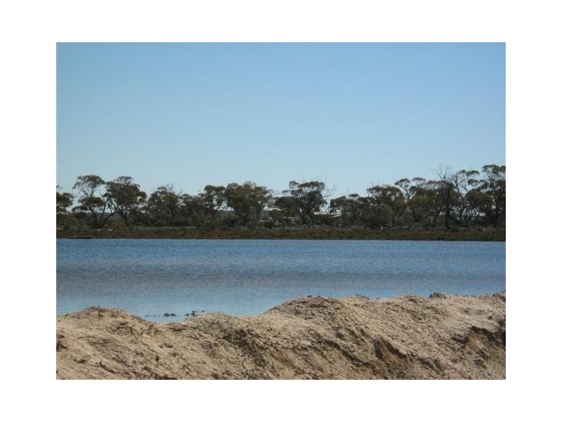 Dalwallinu WA 6609