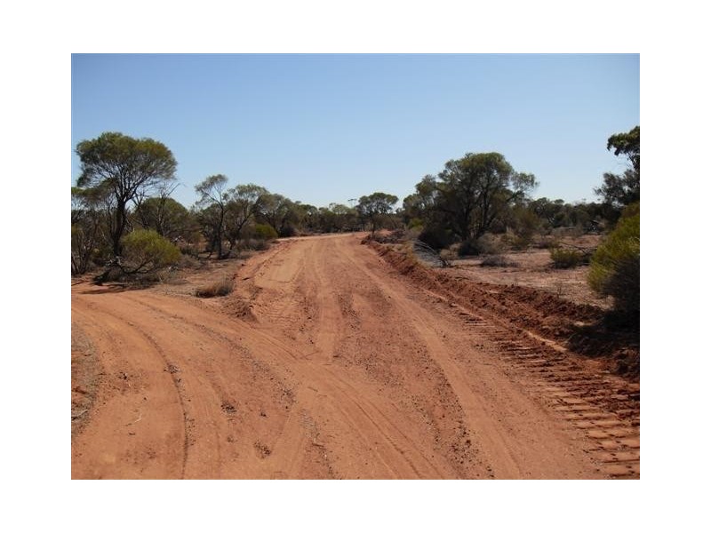 Dalwallinu WA 6609