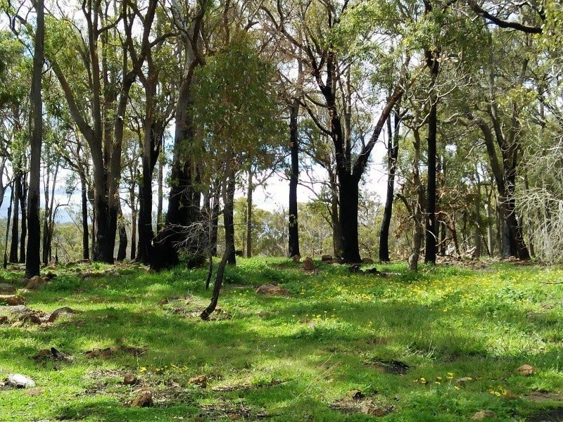 54 Leavy Road, Waroona WA 6215