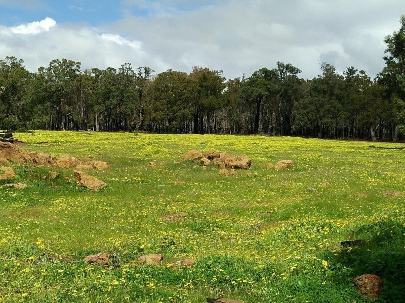 54 Leavy Road, Waroona WA 6215