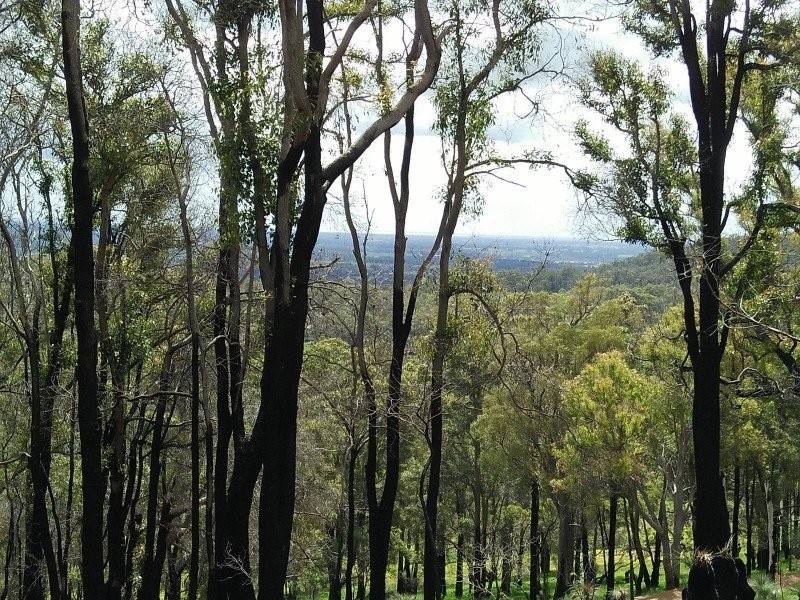 54 Leavy Road, Waroona WA 6215