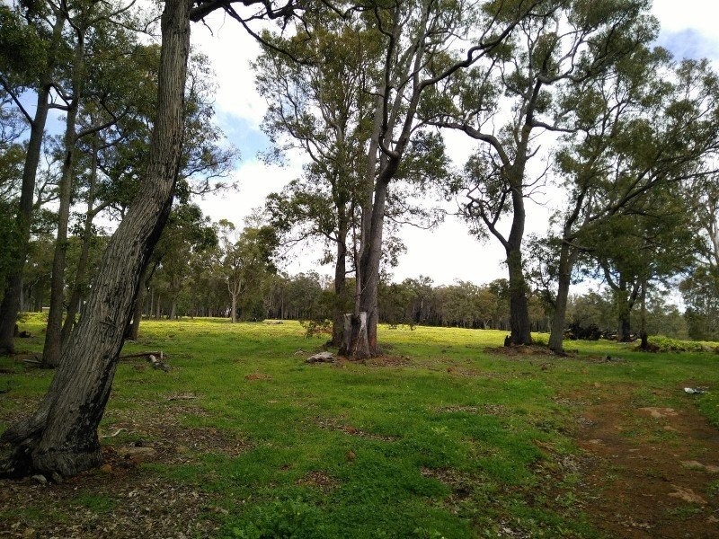 54 Leavy Road, Waroona WA 6215