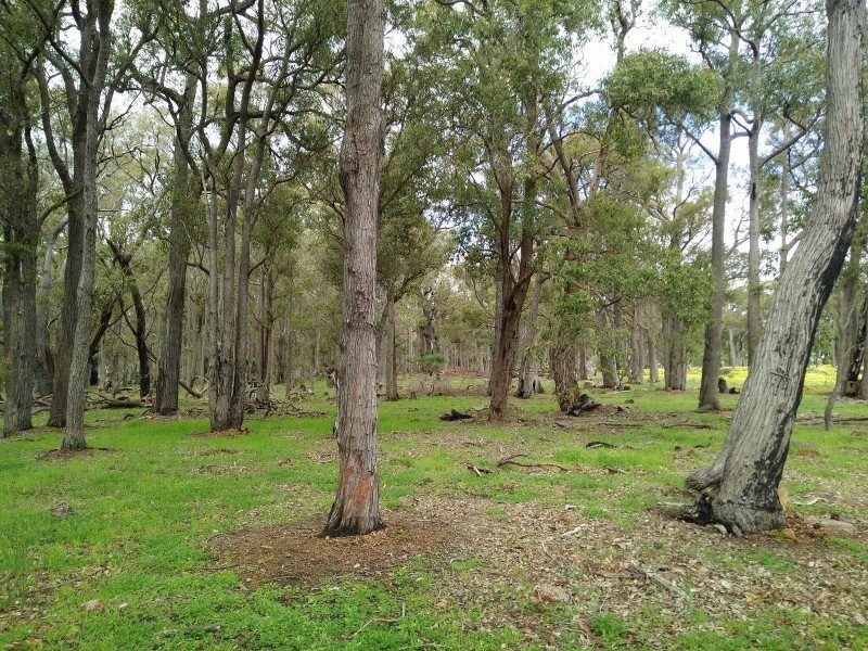 54 Leavy Road, Waroona WA 6215