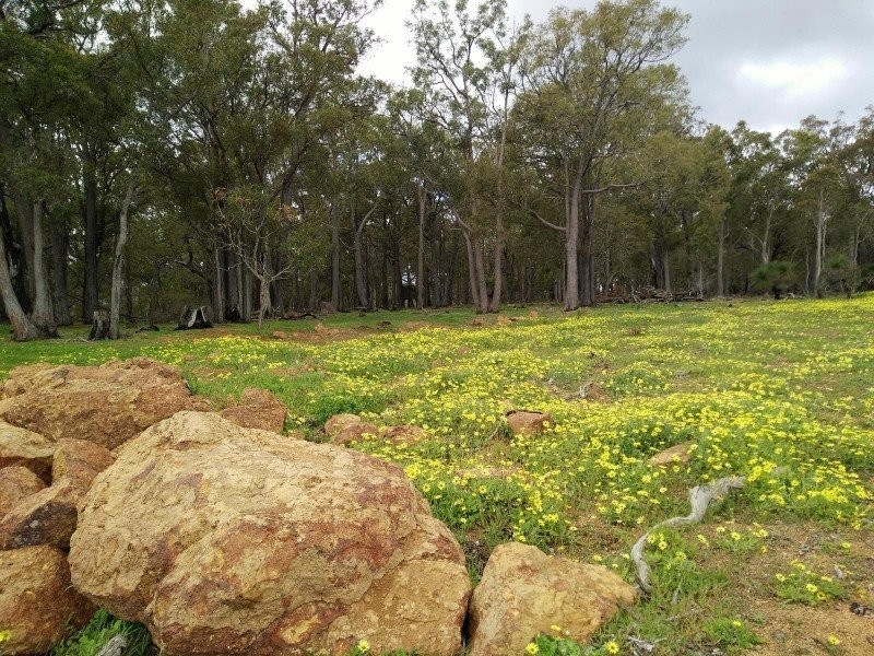 54 Leavy Road, Waroona WA 6215