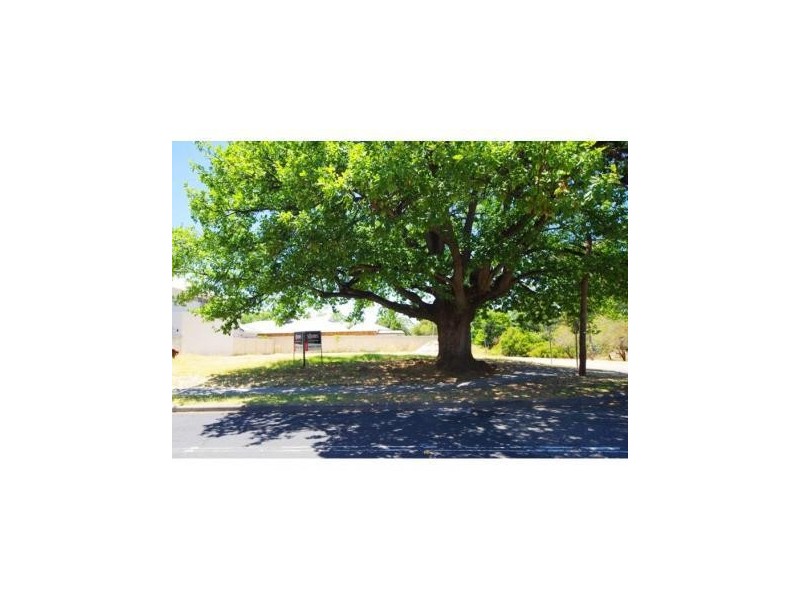 79a North Road, Bassendean WA 6054