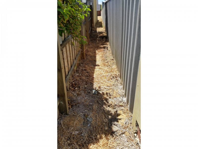 156B Forrest Street, Fremantle WA 6160