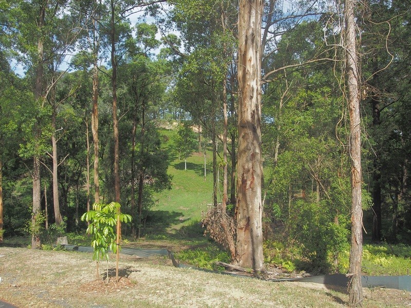 141 Old Pacific Highway, Raleigh NSW 2454