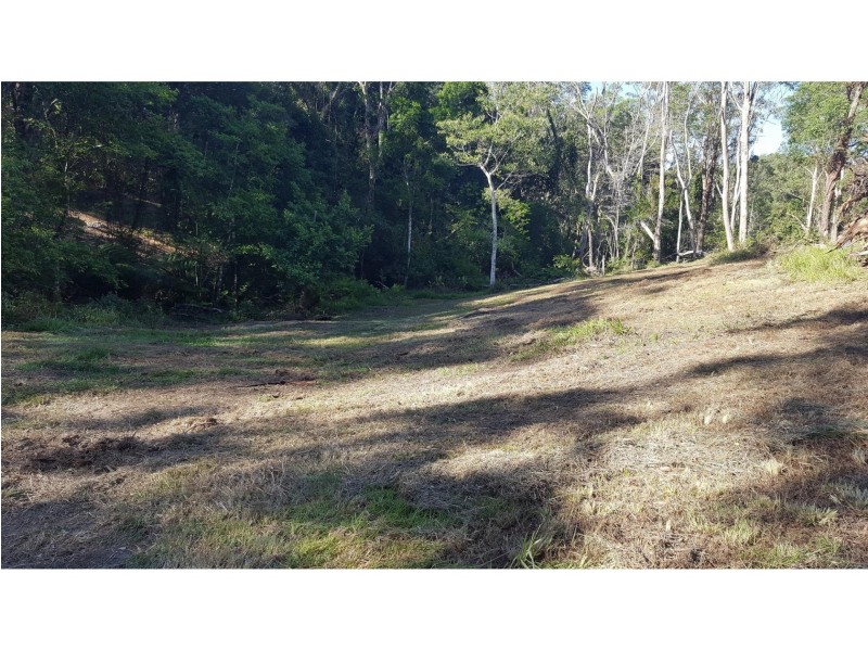 141 Old Pacific Highway, Raleigh NSW 2454