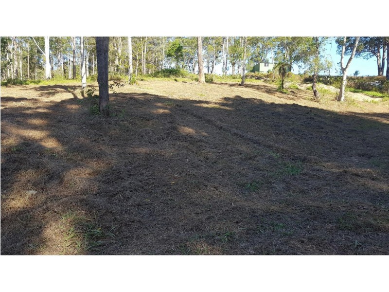 141 Old Pacific Highway, Raleigh NSW 2454