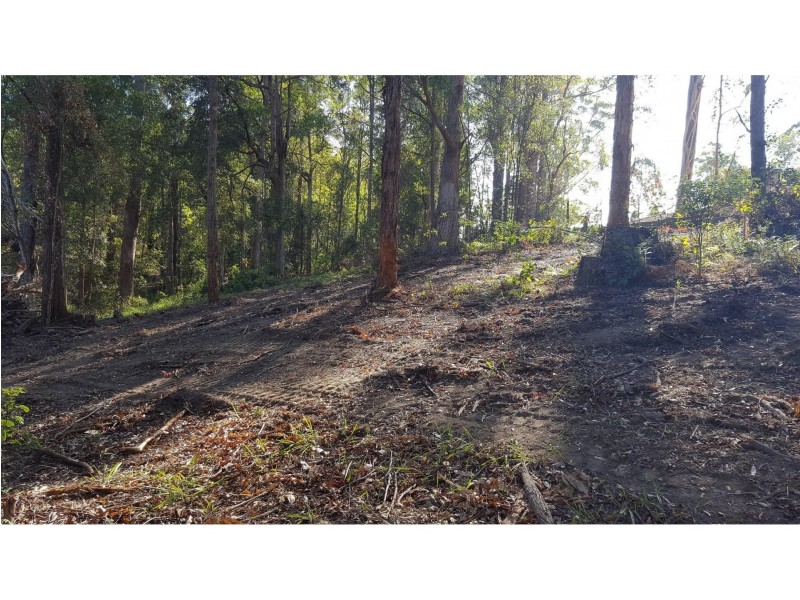 141 Old Pacific Highway, Raleigh NSW 2454