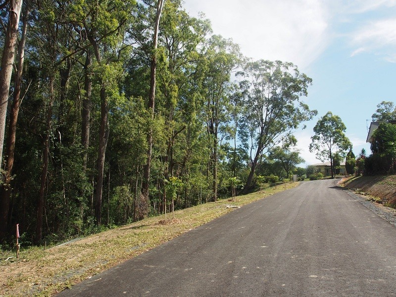 141 Old Pacific Highway, Raleigh NSW 2454