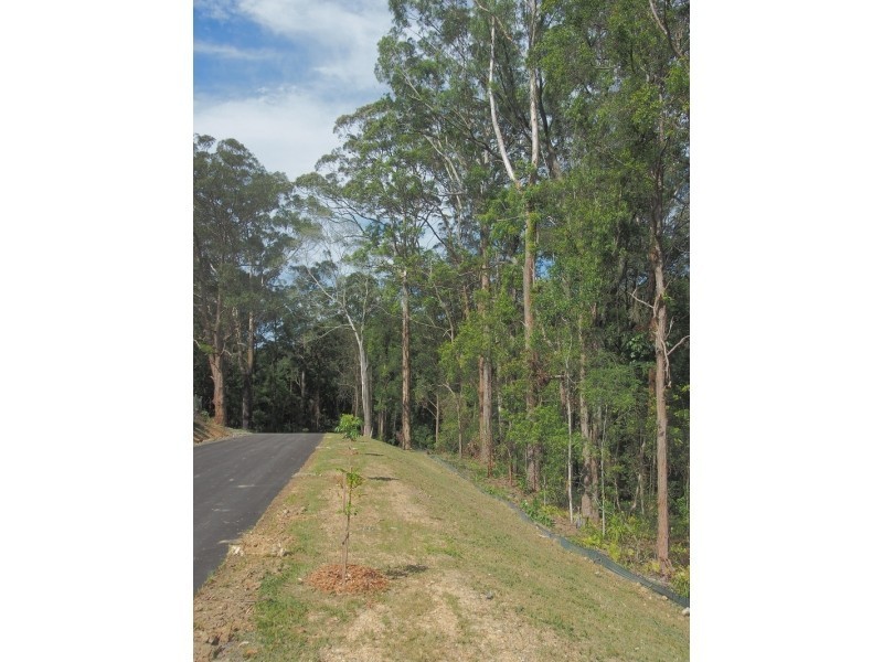 141 Old Pacific Highway, Raleigh NSW 2454