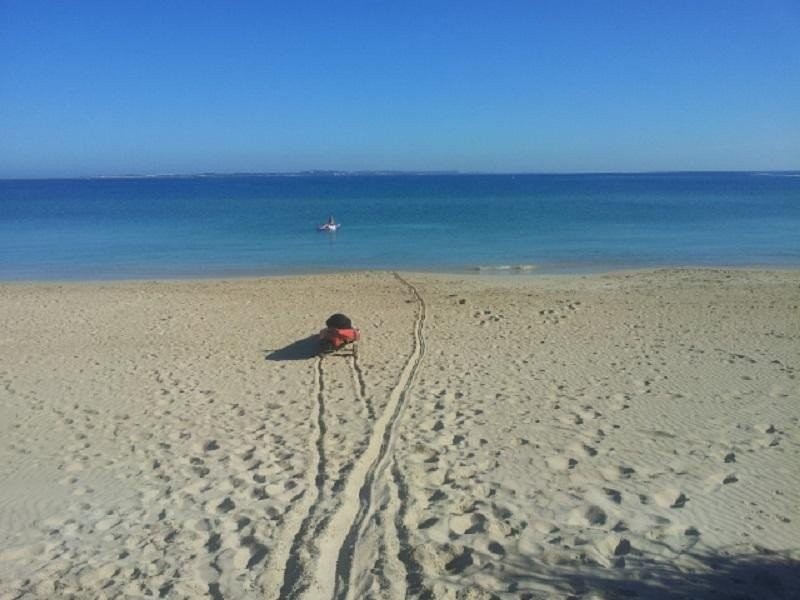 115 ROCKINGHAM BEACH ROAD, Rockingham WA 6168