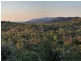 11 Hancock Road, Alligator Creek QLD 4816