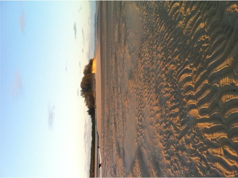 133 Davenport Drive, Coonarr QLD 4670