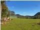 1184 Mole Creek Road, Needles TAS 7304