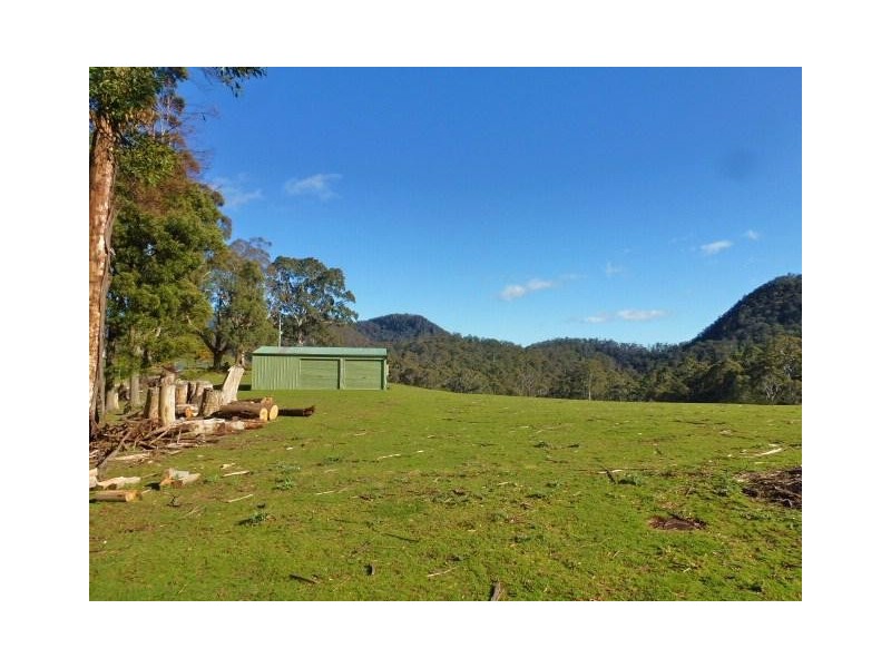 1184 Mole Creek Road, Needles TAS 7304