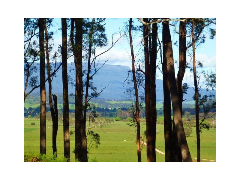 1184 Mole Creek Road, Needles TAS 7304