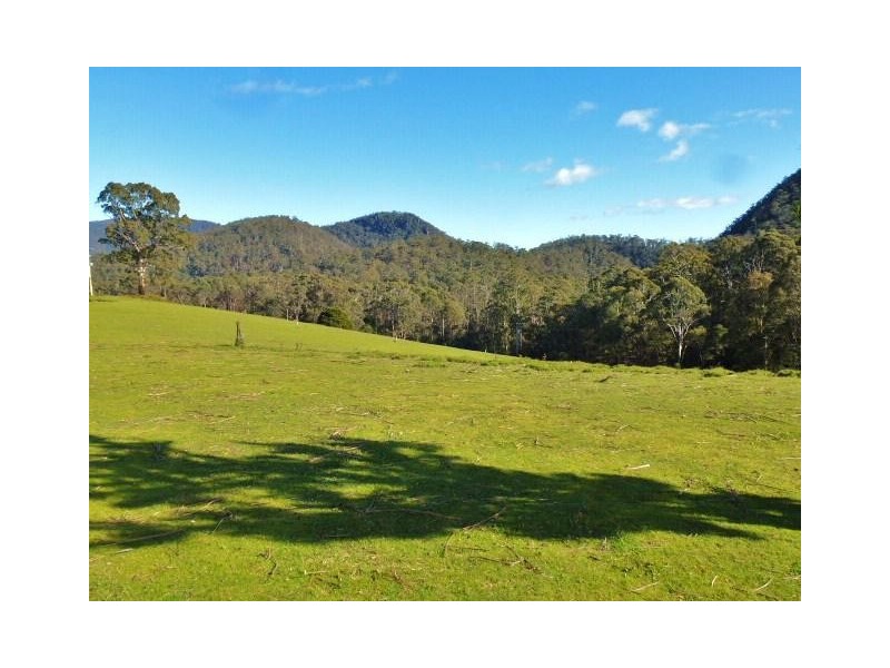 1184 Mole Creek Road, Needles TAS 7304